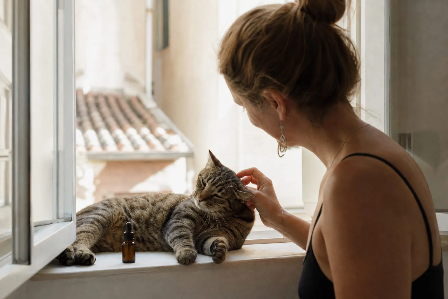 Un chat tigré allongé sur un rebord de fenêtre, sa maîtresse près de lui