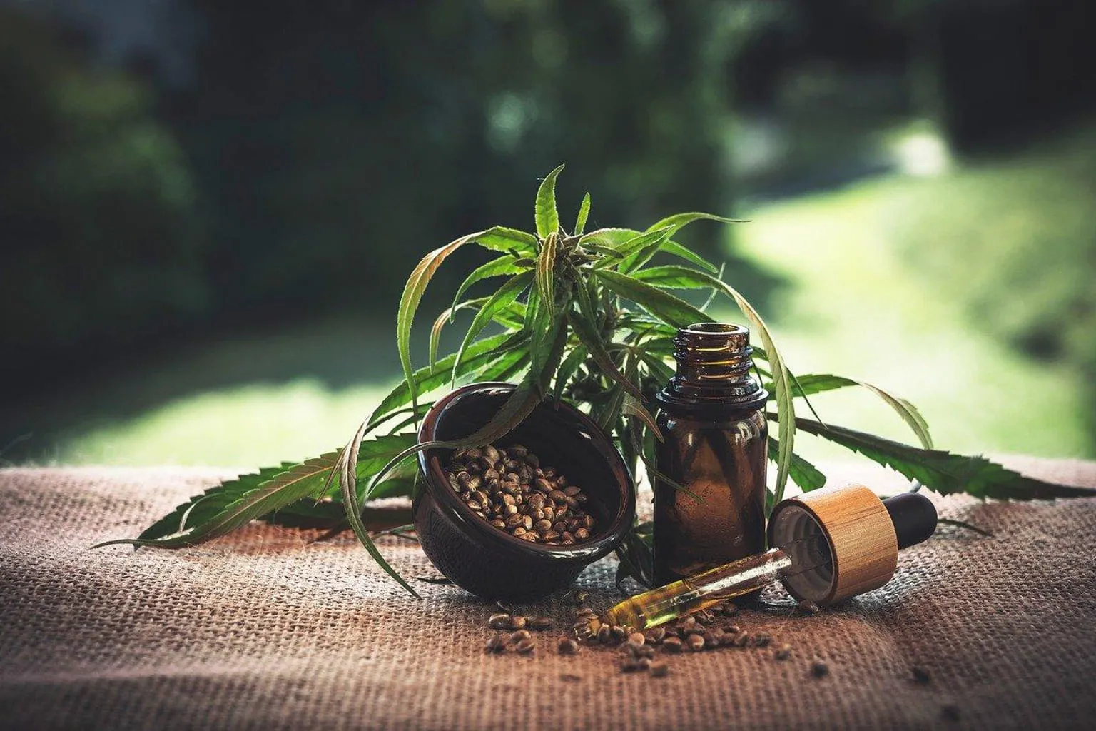 Différents produits au CBD disposés sur une table claire